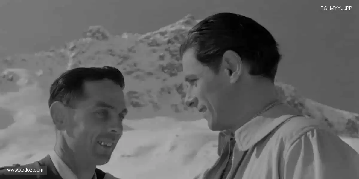 突破屏幕界限，直击赛场心跳！📺⚡️